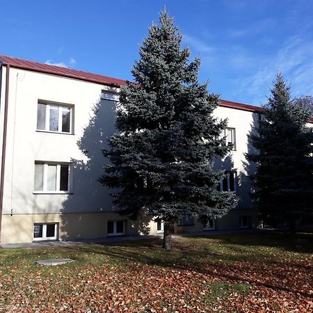 Pokoje U Ludwika Wlodawa Exterior photo
